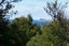 180 Pumpkin Hill Road, Pumpkin Hill - Carousel 8