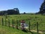 0 Stanly Street, Eketahuna, Eketahuna - Carousel 4