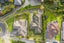 24 Araminta Place, Beachlands, Auckland - Carousel 17