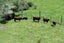 0 Motueka Valley Hway, Ngatimoti, Motueka - Carousel 16