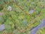 36 Tanekaha Road, Titirangi, Auckland - Carousel 3