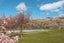 1 Cottage Lane, Wanaka, Wānaka - Carousel 23