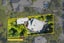 334 Titirangi Road, Titirangi, Auckland - Carousel 19