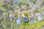 30 Puawai Place, Northcote, Auckland - Carousel 17