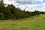 2981 State Highway 14, Tangiteroria - Carousel 22