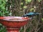 17 Stony Hill Pl, Grenada Village, Wellington - Carousel 19