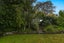 24 Springfield Road, Springfield, Rotorua - Carousel 20