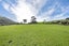 609 Ohariu Valley Road, Ohariu, Wellington - Carousel 2