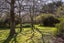 96 Chester Road, Clareville, Carterton - Carousel 21