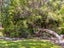 365 Norfolk Road, Waingawa - Carousel 26
