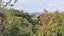 7 Shearwater Rise, Rothesay Bay, Auckland - Carousel 3