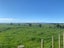 1614A State Highway 3, Awahuri, Palmerston North - Carousel 9