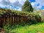 67 Aurora Terrace, Hillcrest, Hamilton - Carousel 15
