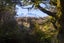 7 Mead Lane, Horopito, Raetihi - Carousel 5