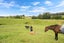36A Greenacres Drive, Kawakawa, Kawakawa - Carousel 20