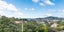 26 Hataitai Road, Hataitai, Wellington - Carousel 16