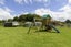 3 Betty May Drive, Pyes Pa, Tauranga - Carousel 12