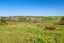3050 Kaipara Coast Highway, Glorit, Warkworth - Carousel 26