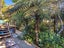 38 Waipu Gorge Road, Waipu, Waipu - Carousel 32