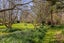 96 Chester Road, Clareville, Carterton - Carousel 25