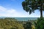 77 Minnehaha Avenue, Titirangi, Auckland - Carousel 3