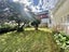 3 Bishop Street, Epsom, Auckland - Carousel 3