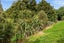 1065 Snooks Road, Whangarei - Carousel 25