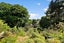 583 New North Road, Kingsland, Auckland - Carousel 3