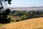 0 Kahutara Rd - Carousel 3