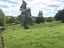 128 Taotaoroa Road, Matamata - Carousel 7