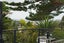 92A Coates Avenue, Orakei, Auckland - Carousel 18