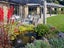 252 Ferry Road, Richmond - Carousel 8
