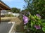 32 Blunt Road, Te Kauwhata, Te Kauwhata - Carousel 27