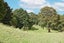 34 Tawa Avenue, Kaiwaka - Carousel 29