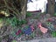 233 Hokio Sand Road, Hokio Beach, Levin - Carousel 20