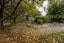 703 Pleasant Point Highway, Levels - Carousel 30