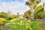 55 English Avenue, Mornington, Dunedin - Carousel 17