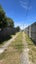 108A Wexford Road, Miramar, Wellington - Carousel 7