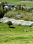 667 Hakarimata Road, Ngaruawahia - Carousel 26