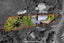 4 Fairhaven Walk, Arkles Bay, Rodney, Auckland - Carousel 21