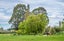 111 Beeby Road, Orari, Temuka - Carousel 28