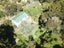 29 Coronation Road, Hillcrest, Auckland - Carousel 11