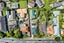 1/177 Edmonton Road, Te Atatu South, Auckland - Carousel 21