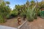 99A Old Mill Road, Westmere, Auckland - Carousel 33