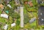 3/66 Astley Avenue, New Lynn, Auckland - Carousel 14
