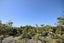 6/11 Karamu Street, Te Atatu Peninsula, Auckland - Carousel 12
