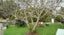 4 Seymour Road, Sunnyvale, Auckland - Carousel 5