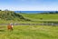 0 Livingston Road, Hawera - Carousel 12