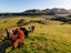 0 Mokau Road, Mohakatino, Mokau - Carousel 6