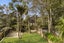 195 Atkinson Road, Titirangi, Auckland - Carousel 2